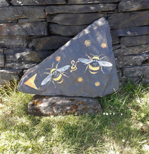 20180624_161915.jpg_1529949416